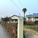 별시도룩 이미지