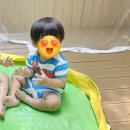[내돈내산💙💛] 베베드피노 24여름신상 루니툰즈 콜라보 상하복, 루니툰즈라운지웨어 후기🫶