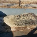 칠산한우농장 이미지