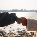 한강공원 난지캠핑장 | 서울 난지한강공원 웨딩스냅 촬영 후기