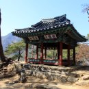 요선정 이미지