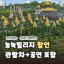 코끼리마트 | 태국 파타야 농눅빌리지 입장권 가격 할인받고 관람차 코끼리쇼 공연 후기