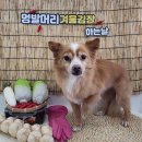 멍발머리 네이버블로그