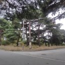동해송정동철기시대유적 이미지