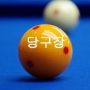 시화당구장