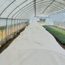 아침농장 이미지