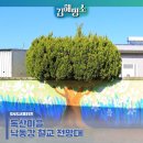 독산마을회관 이미지