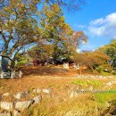 석탄정(石灘亭) 이미지