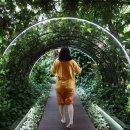 행복공간 헬스클럽 이미지