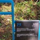 불닭공장서귀포신시가지점 이미지