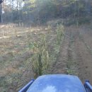 우리밀밭 이미지