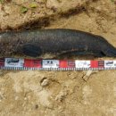 만식이네 이미지