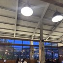 코지하우스정관점 | 기장 정관 맛집! 코지하우스 정관점 내돈내산 후기.정관 동네 주민 정관이야기.