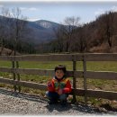 창현목장 이미지