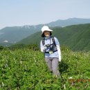 삼공주 이미지