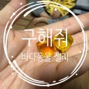다모아유치원 | [리뷰] 아이들 간식으로 좋은 맛있는 젤리! 구해줘 바다동물 젤리를 소개해드려요!