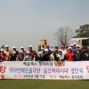 팀골프