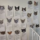 701아를고양이카페(cat in the art)