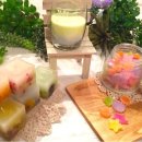 보타니칼 이미지