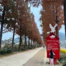 예산-27 | 충남 예산 명소 덕산 메타세쿼이아 길 즐길거리
