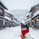 한빛한의원 이미지