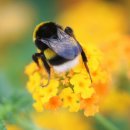 경기도 구리시배드민턴장 이미지