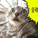 뽑기이야기 이미지