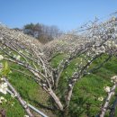 농부의 정원 이미지