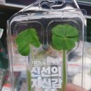 초성리가든 이미지