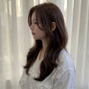 하단동101 | 하단 미용실 인생 머리 찾기 하비헤어 레이어드 엘리자벳펌 대만족 후기