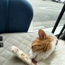 임영로 | 강릉 미용실 반함헤어에서 완성한 자연스러운 발롱펌 후기