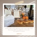 [자연도 소금빵 익선동] 버터리한 풍미가 가득하지만, 짠맛과 기름기가 다소 강했던 포장 후기