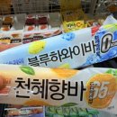 곰돌이편의점