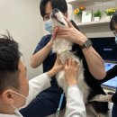 범어동물병원 이미지