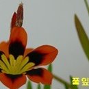 뽀스락뽀스락 이미지