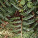 제주아씨 이미지