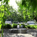 1-49호어린이공원 이미지