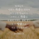 동양의 바비인형(?)이 되겠다/C컬펌 예쁘게 잘하는 곳/제이바비헤어 강남점