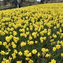 지리산호텔 이미지