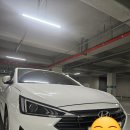 현대크리닝 | 안양 현대 아반떼 AD 에어컨 쉰냄내 탈출후기-에바크리닝