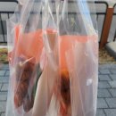 아산탕정LH7단지경로당 | 아산 탕정 카페오프 방문 후기