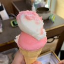 더덕 무한리필 삼겹살 가경동 맛집 추천 (ft. 시골의 맛을 느낄 수 있는 사이드까지 + 가족 외식 후기)