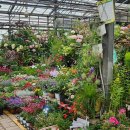 마방로10길 54-24 이미지