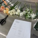 플로정아 이미지