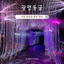 광명동굴 (제2주차장) | 광명동굴 주차장 입장료 할인 온도 정보 상생할인점 후기