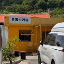 국내여행_화순-보성-강진, 화순 도곡보리밥, 보성 녹차밭, 대한다원, 주작산 자연휴양림 캠핑, 260507