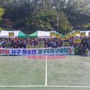 서구청소년수련관(9) 이미지