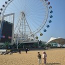 행정사법인 환경인 | 속초해수욕장 관람차 속초아이 대관람차 시간 / 높이 / 철거 정보 완벽정리