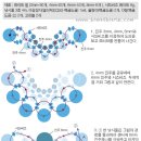 새하얀 진주 목걸이 만들기 이미지