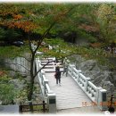(주)정다운 여행 이미지